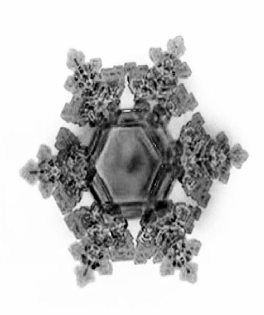 Assemblage 2021 Collaboration L'Apaisée & La Montagnarde, Brasserie Popihn