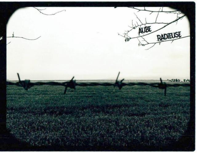 Aube Radieuse, Brasserie Osseus [Closed]