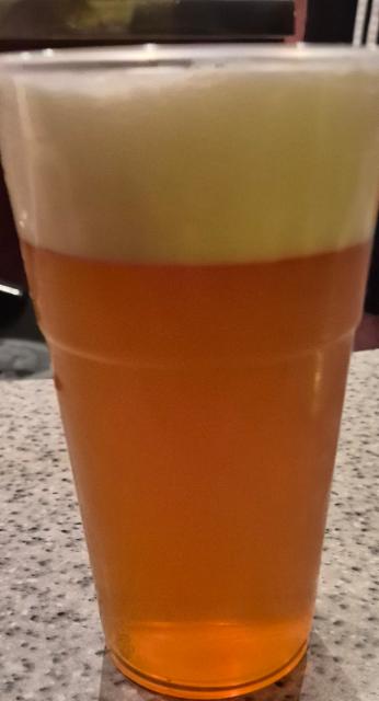 augsch, Rotes Pony Craftbier