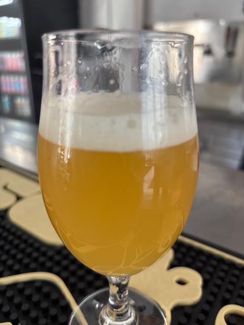 Aura, Oso Brew Co.