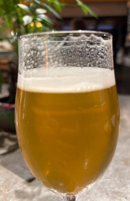 Aurora, Cervesa Espiga