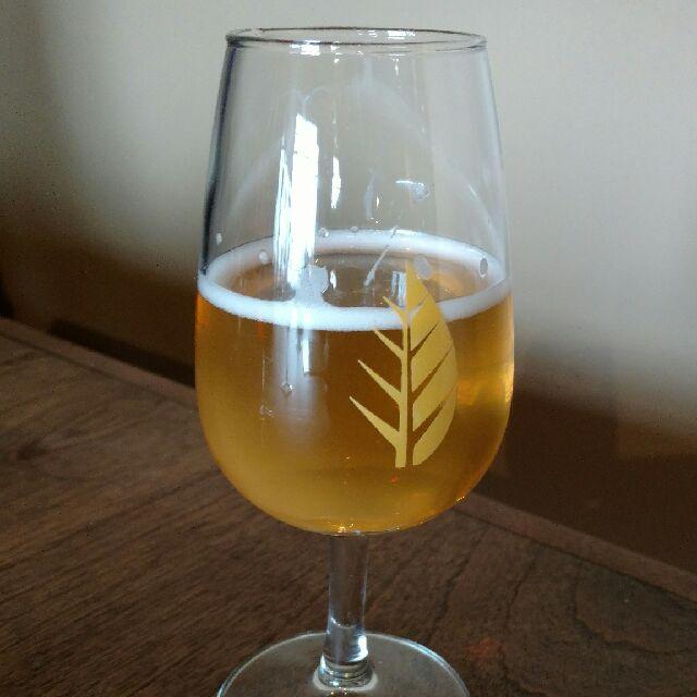 Auroral 4.0%, Deciduous Brewing Company, United States