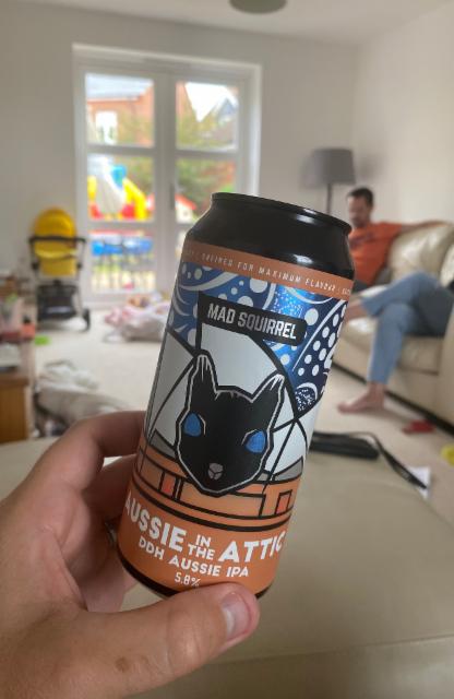 Aussie in the Attic 5.8%, Mad Squirrel Brewing, England