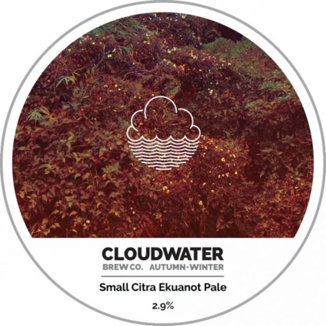 Autumn•Winter Small Citra Ekuanot Pale 2.9%, Cloudwater Brew Co., England
