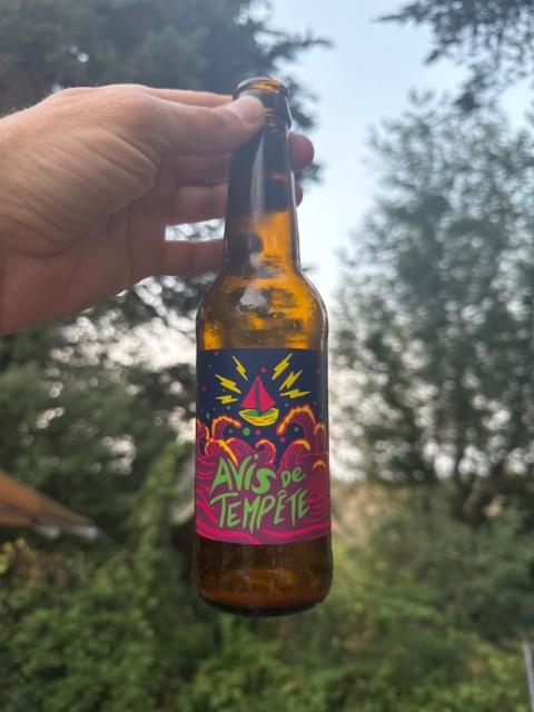 Avis de tempête, Les Fous Brassant