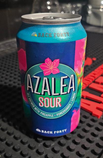 Azalea Sour 6.0%, Back Forty Beer Company, United States
