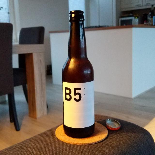 B5 IPA 5.5%, Berging Brouwerij, Netherlands