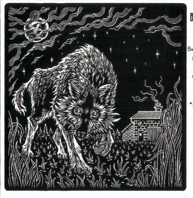 Baccade Black IPA 6.0%, Brasserie Baccade, France