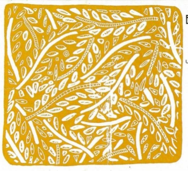 Baccade Blonde 5.0%, Brasserie Baccade, France