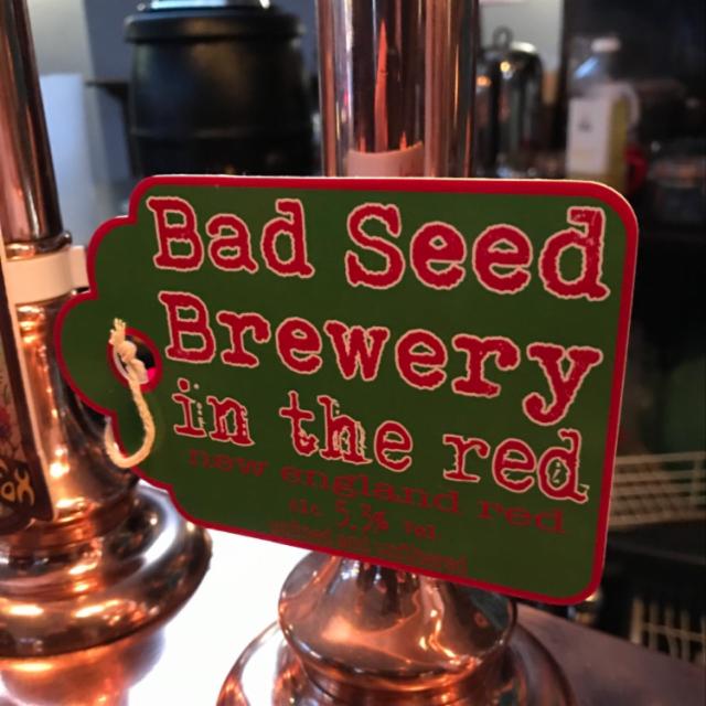 In The Red 5.3%, Bad Seed Brewery, England