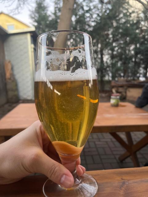 Balthasar Neumann Pils 5.0%, Bauriedel, Germany