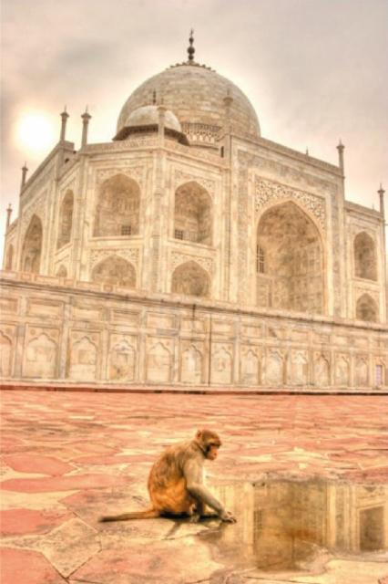 Barley W. Whisky Tourbé BA 16 Mois 10.0%, Brasserie Popihn, France