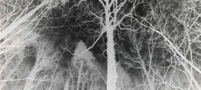 Barley W. X Imperial Stout BA Blend Bourbon 24 Mois 12.0%, Brasserie Popihn, France