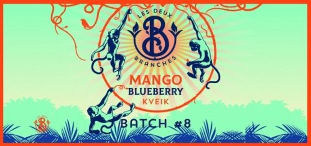 Batch #08 Mango Blueberry Kveik 4.9%, Les Deux Branches, France
