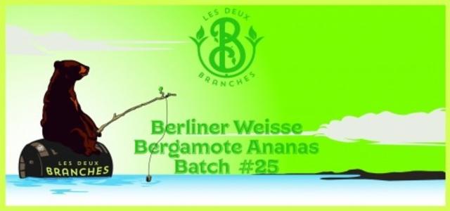 Batch #25 Berliner Weisse Bergamote Ananas 3.5%, Les Deux Branches, France