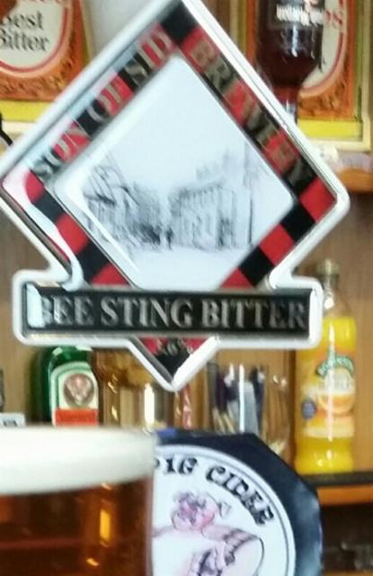 Bee Sting Bitter 3.6%, Son of Sid Brewery, England