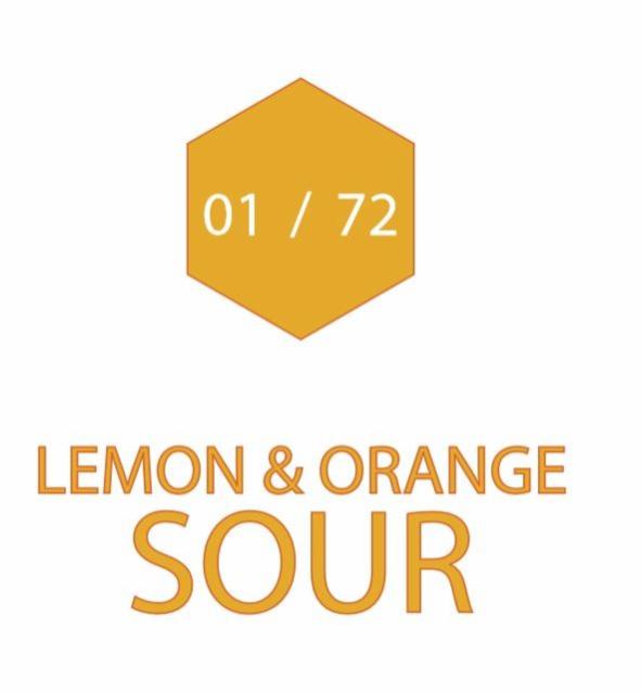 Beer Club 01/72 Lemon & Orange Sour 3.4%, Stewart Brewing, Scotland