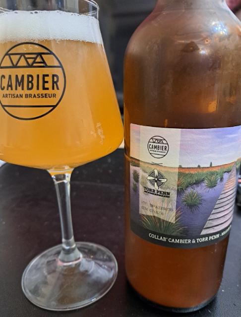 Belgian ipa 8.0%, Brasserie Torr Penn, France