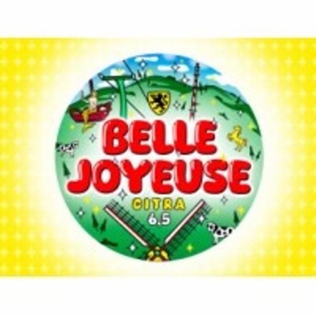 Belle Joyeuse 6.5%, Brasserie De Katsbier, France
