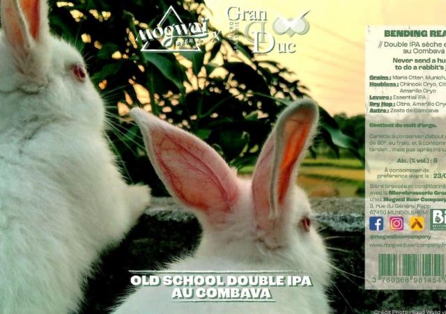 Bending Reality 8.0%, Mogwaï Beer Company, France