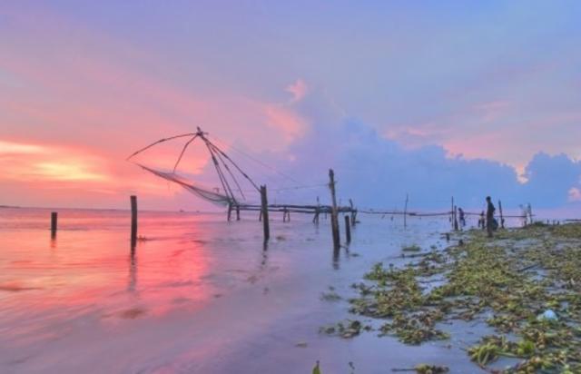 Berliner Weisse Mûre / Framboise 5.5%, Brasserie Popihn, France