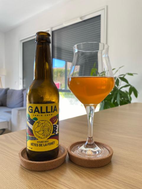 Bêtes De La Forêt 5.4%, Gallia Paris (Heineken), France