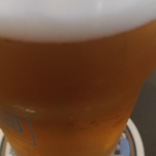 Bicycle Kick 5.1%, New Belgium Brewing Company, United States