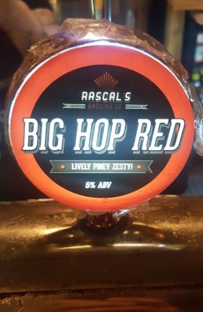 Big Hop Red 5.0%, Rascals Brewing, Ireland