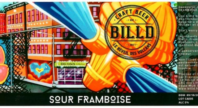 Billd Sour Framboise 5.0%, Brasserie Billd - Le Réveil Des Volcans (Auvernhata), France