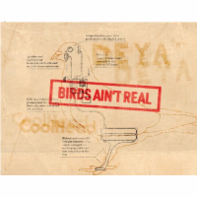 Tin Foil Hat Series #04: Birds Ain't Real 5.5%, CoolHead Brew, Finland