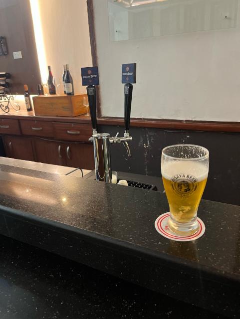 Bisaya brew pilsner, Bisaya brew