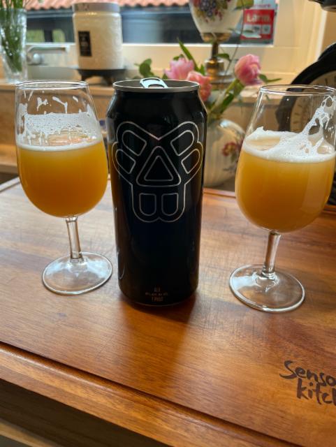 Bisselbrothers, Bissel brothers