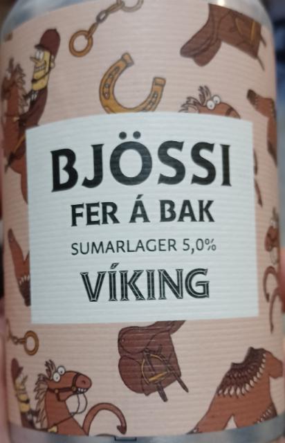 Bjössi 5.0%, Viking Brewery, Iceland