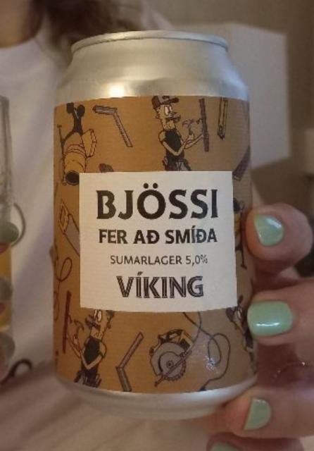 Bjössi Fer Ad Smida 5.0%, Viking Brewery, Iceland