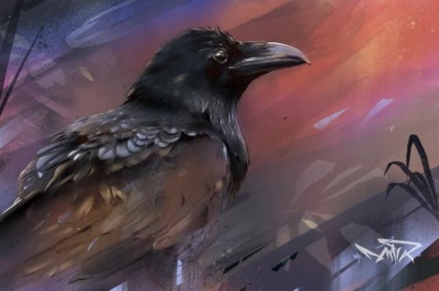 Black Bird 6.5%, Aviateur, France