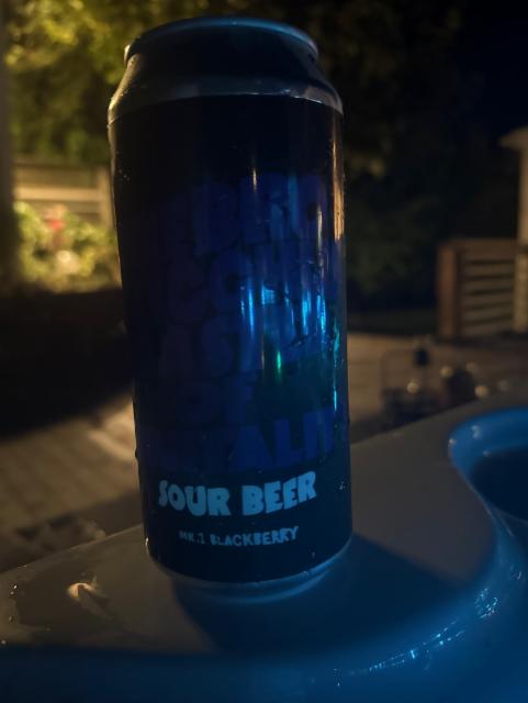 Blackberry Sour Beer 5.6%, Örebro Brygghus, Sweden