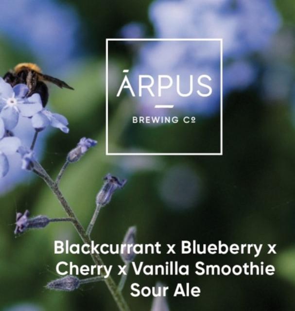 Blackcurrant x Blueberry x Cherry x Vanilla Smoothie Sour Ale 5.0%, Ārpus Brewing Co., Latvia
