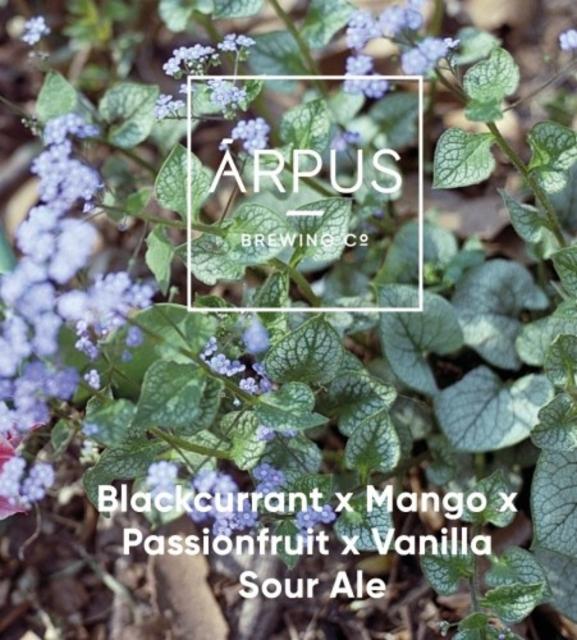 Blackcurrant x Mango x Passionfruit x Vanilla Sour Ale 5.5%, Ārpus Brewing Co., Latvia