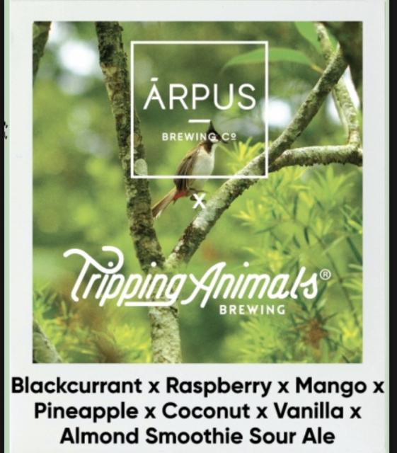 Blackcurrant x raspberry x mango x pineapple x Coconut x vanilla x almond smoothie sour ale, Ārpus Brewing Co.