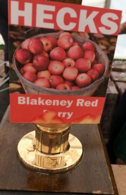 Blakeney Red Perry 6.0%, Hecks Farmhouse Cider Co., England