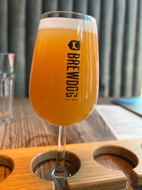 Blechbrut 6.0%, BrewDog, Scotland