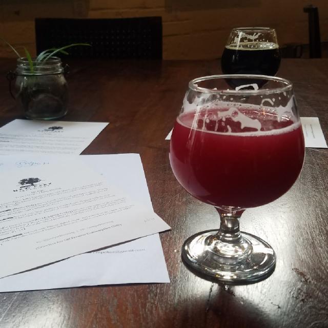 Blender 5.0%, New Park Brewing, United States