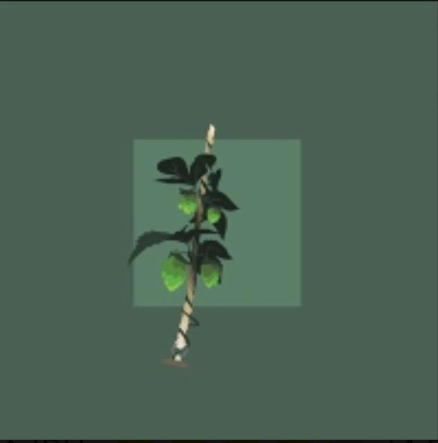 Block 25 7.8%, Nano Cinco, Canada