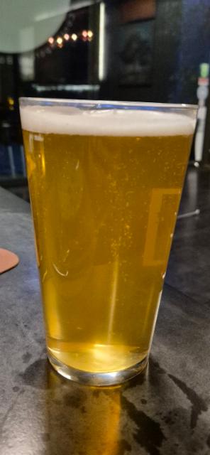 Blond ale 4.5%, Vilhoa, United States