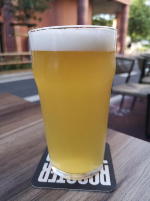 Blonde de soif, Electric Blue Monkeys