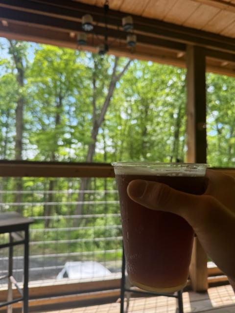 Blood on blood 5.0%, Gad dam brewing, United States