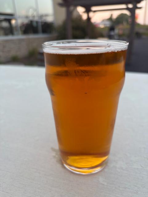 Blood Orange IPA, Ineffable Brewing Company