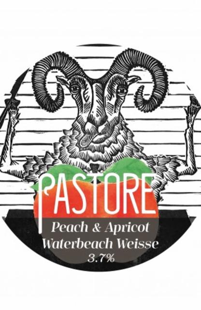 Blood Peach Waterbeach Weisse 3.8%, Pastore Brewing And Blending Ltd, England