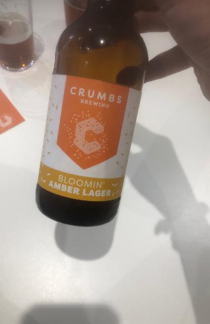 Bloomin lager 4.8%, Crumbs Brewing, England