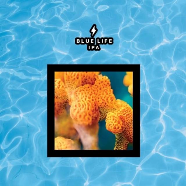 Blue Life 6.5%, Garage Beer Co., Spain